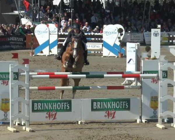 Lenklarer Reitertage 2015