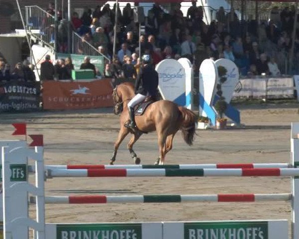 Lenklarer Reitertage 2015