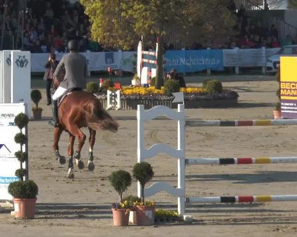 Lenklarer Reitertage 2015