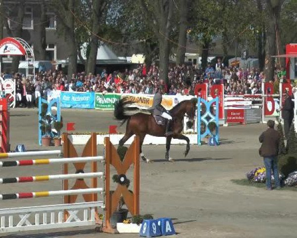 Lenklarer Reitertage 2015