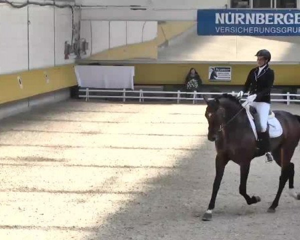 6. Pforzheimer Dressurtage 2015