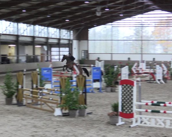 Reitturnier Langenfeld - Gut Langfort 2021