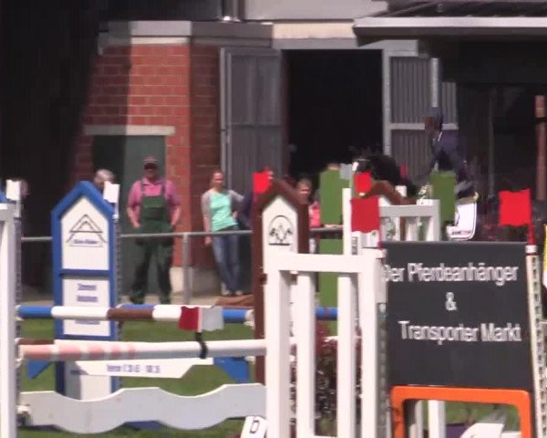 Großes Reit- und Springturnier Heiden 2015