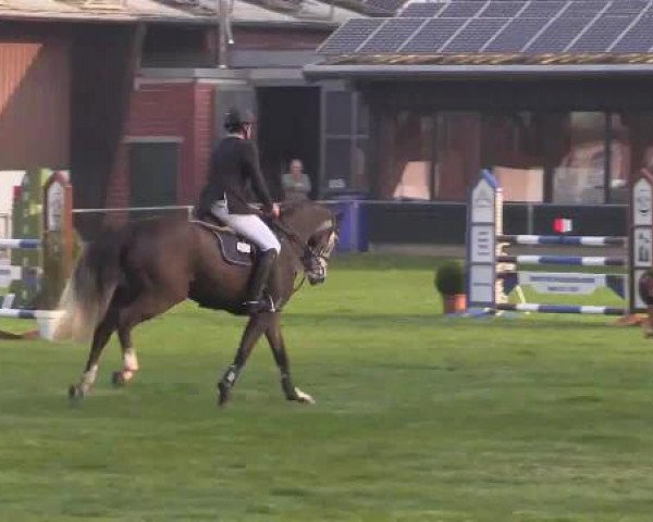 Großes Reit- und Springturnier Heiden 2015