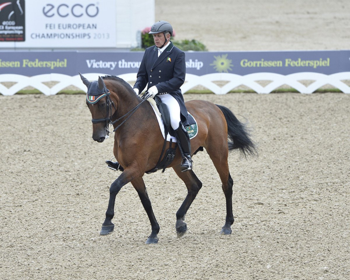 Drezurní kůň Sydney (Holštýnský kůň, 1999, od Linaro)