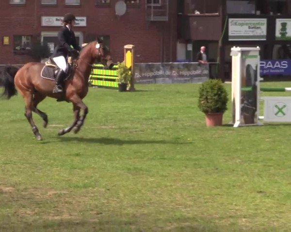 Großes Reit- und Springturnier Heiden 2015