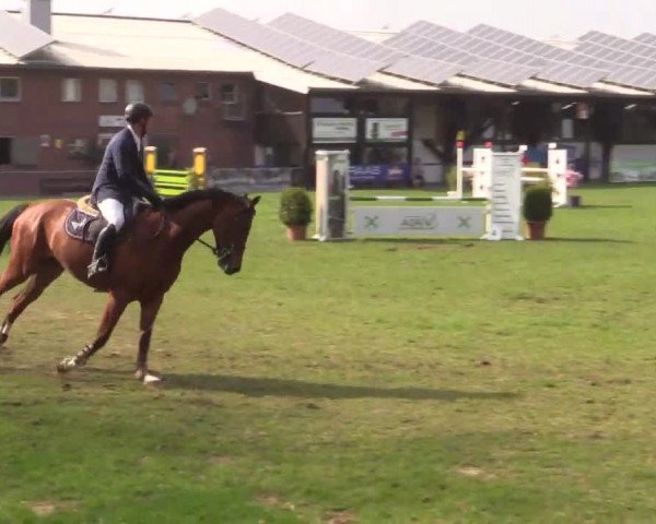 Großes Reit- und Springturnier Heiden 2015