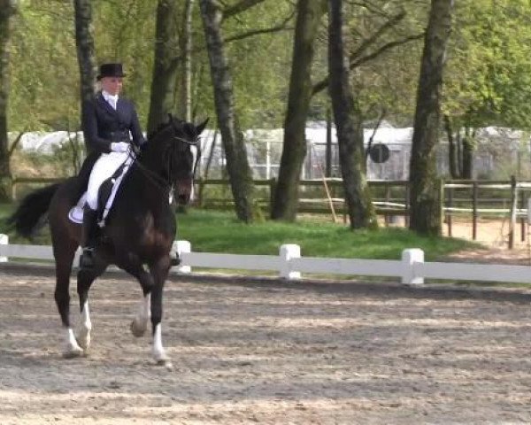 Großes Reit- und Springturnier Heiden 2015