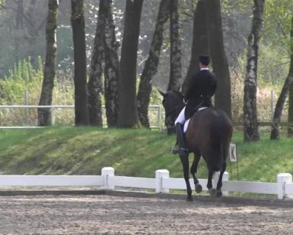 Großes Reit- und Springturnier Heiden 2015