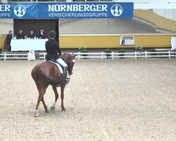 6. Pforzheimer Dressurtage 2015