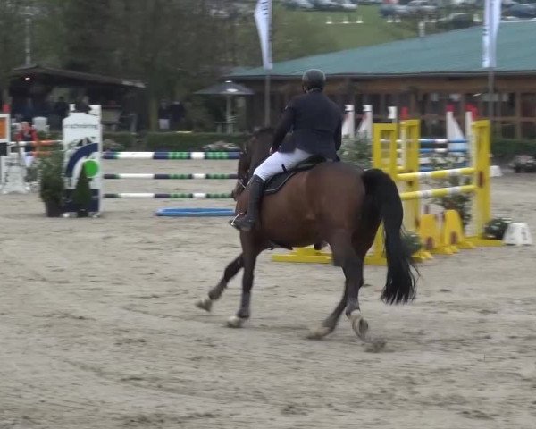 Wipperfürth-Kreuzberg 2015