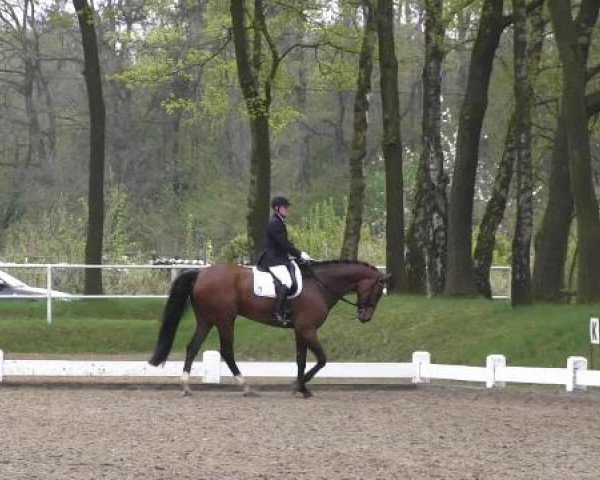 Großes Reit- und Springturnier Heiden 2015