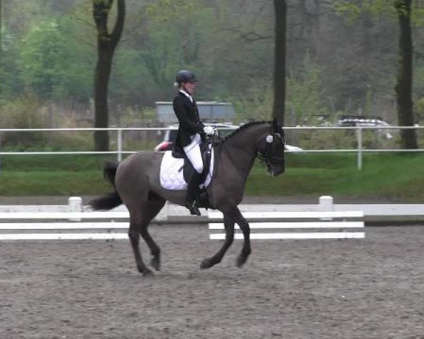 Großes Reit- und Springturnier Heiden 2015
