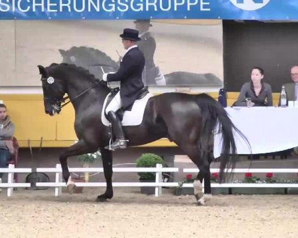6. Pforzheimer Dressurtage 2015