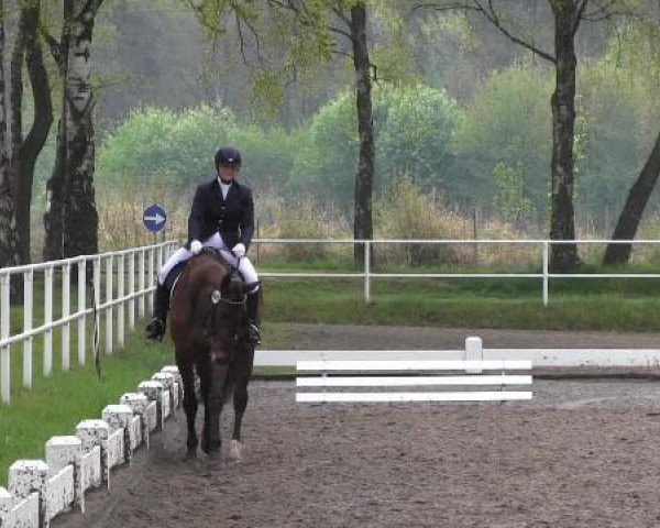 Großes Reit- und Springturnier Heiden 2015