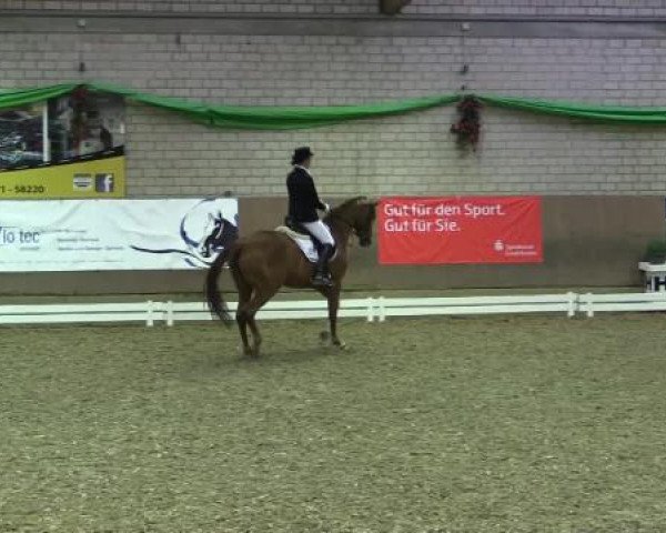 Hallenturnier Leverkusen-Rheindorf 2015