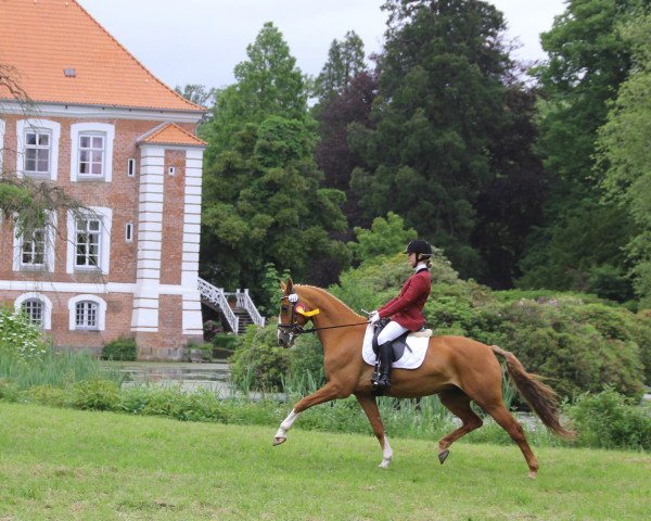 broodmare Gianna (Westphalian, 1994, from Gralshüter)
