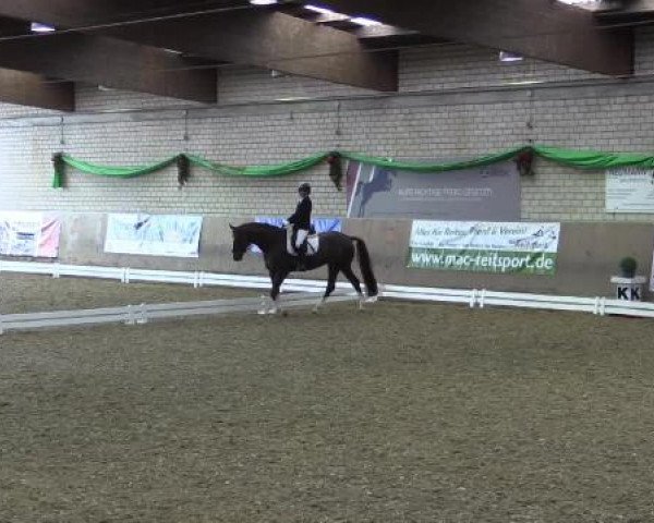 Hallenturnier Leverkusen-Rheindorf 2015