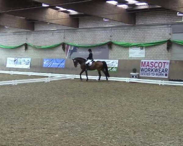 Hallenturnier Leverkusen-Rheindorf 2015