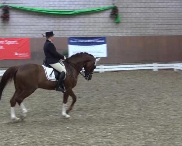 Hallenturnier Leverkusen-Rheindorf 2015