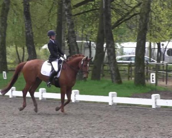 Großes Reit- und Springturnier Heiden 2015