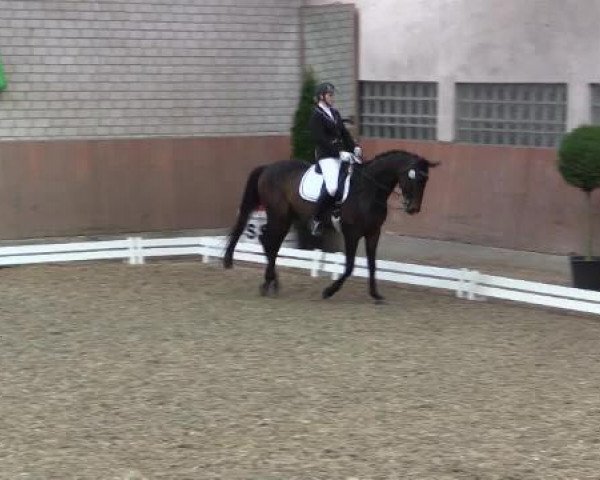 Hallenturnier Leverkusen-Rheindorf 2015