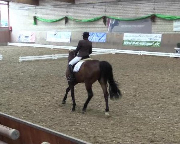 Hallenturnier Leverkusen-Rheindorf 2015
