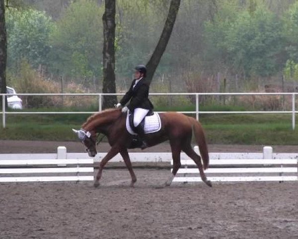 Großes Reit- und Springturnier Heiden 2015