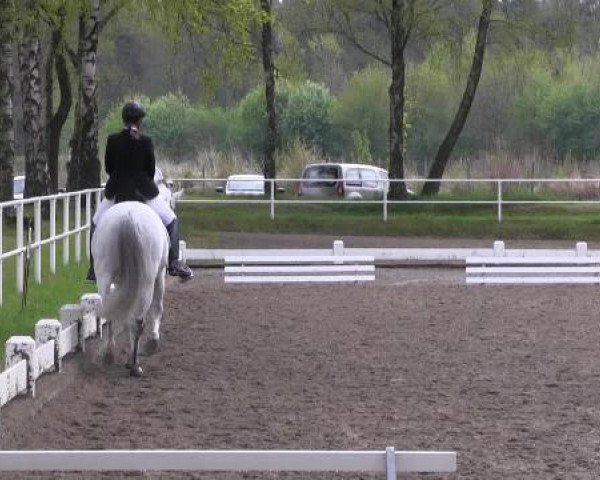 Großes Reit- und Springturnier Heiden 2015