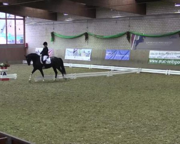 Hallenturnier Leverkusen-Rheindorf 2015