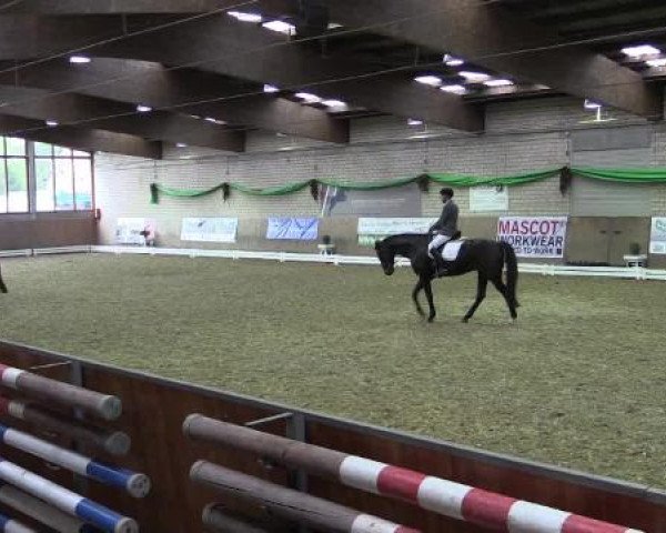 Hallenturnier Leverkusen-Rheindorf 2015