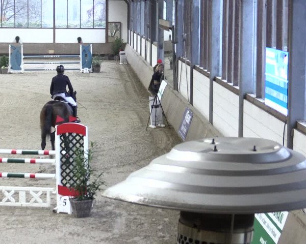 Reitturnier Langenfeld - Gut Langfort 2021