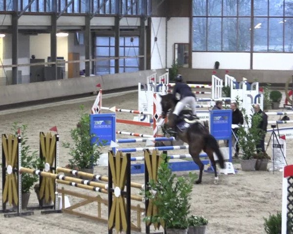 Reitturnier Langenfeld - Gut Langfort 2021