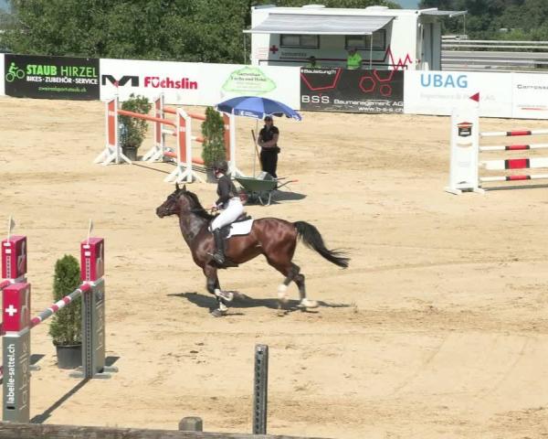 Torneio Equestre Wädenswil 2026