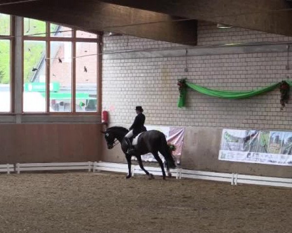 Hallenturnier Leverkusen-Rheindorf 2015