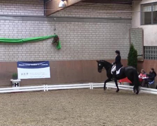 Hallenturnier Leverkusen-Rheindorf 2015