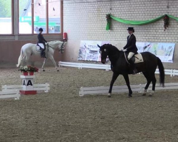 Hallenturnier Leverkusen-Rheindorf 2015
