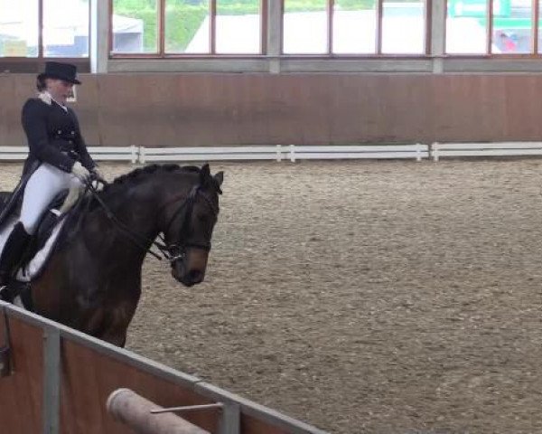 Hallenturnier Leverkusen-Rheindorf 2015