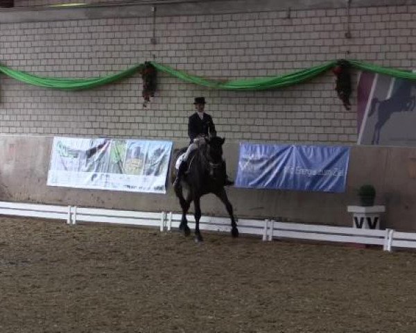 Hallenturnier Leverkusen-Rheindorf 2015