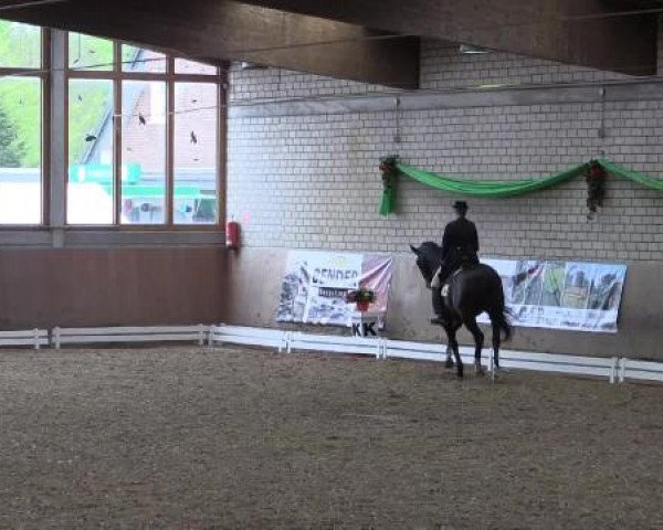 Hallenturnier Leverkusen-Rheindorf 2015