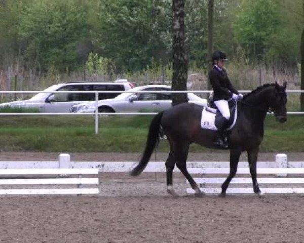Großes Reit- und Springturnier Heiden 2015