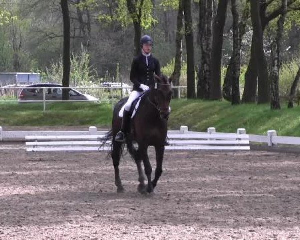 Großes Reit- und Springturnier Heiden 2015