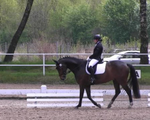 Großes Reit- und Springturnier Heiden 2015