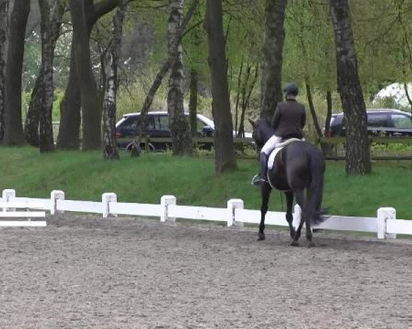 Großes Reit- und Springturnier Heiden 2015