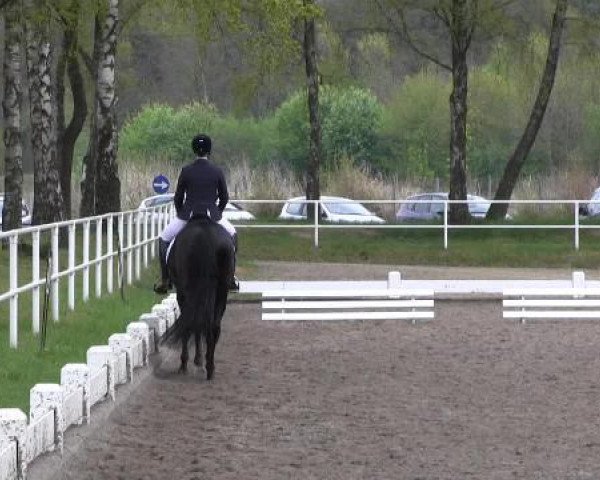 Großes Reit- und Springturnier Heiden 2015