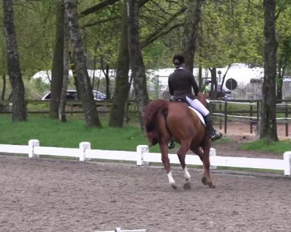 Großes Reit- und Springturnier Heiden 2015