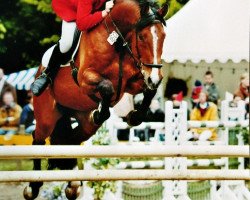 jumper Catharo (Holsteiner, 1993, from Calando I)