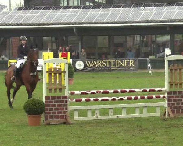 Großes Reit- und Springturnier Heiden 2015