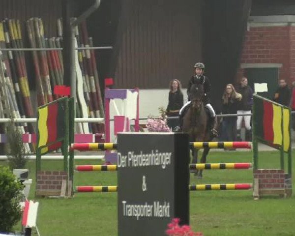 Großes Reit- und Springturnier Heiden 2015