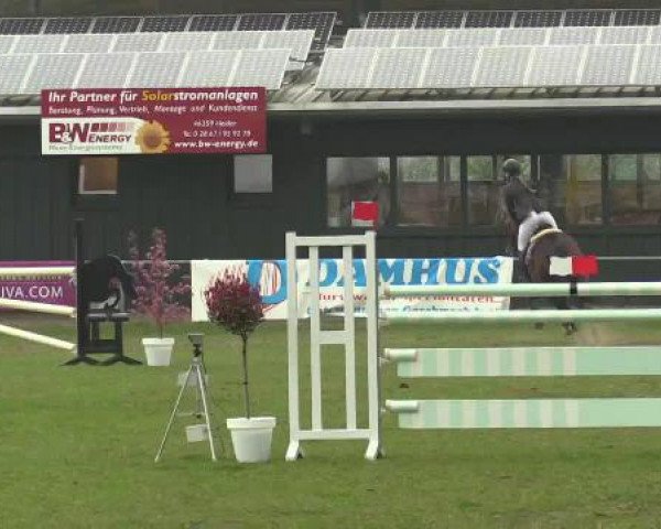Großes Reit- und Springturnier Heiden 2015